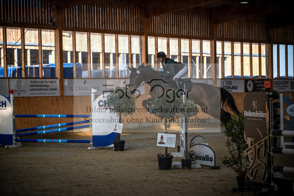 DOS_0231 | Entdecke hochwertige Reitturnierfotos von Foto Oger. Professionell, emotional und authentisch – jetzt Lieblingsmomente im Shop bestellen.Deutschlandweite Turnierfotografie. - Realisiert mit Pictrs.com