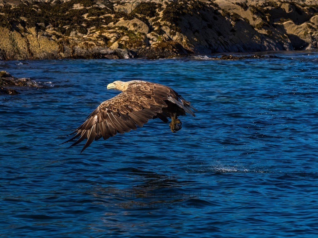 P1001627-LR-topaz-denoise-enhance | Natur im Moment - Realisiert mit Pictrs.com