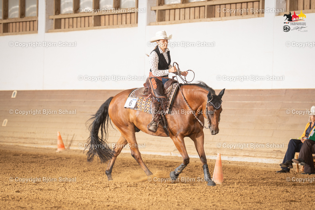 LMS06497 | BS-foto