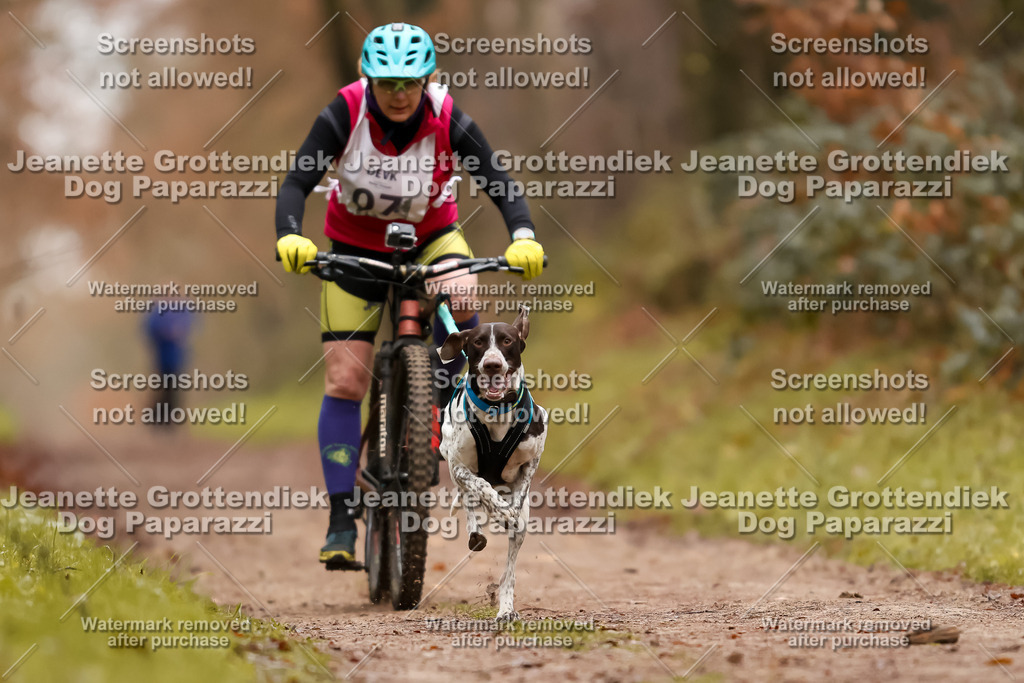 Dog Paparazzi - Speedhunter Mannheim  2025-20 | Dog Paparazzi Jeanette Grottendiek Fotografie & Videografie