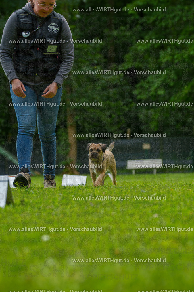 @allesWIRTHgut_Tierfotografie - www.allesWIRTHgut.de - 7R501949 | Professionelle Tierfotografie in Mönchengladbach von Daniel Wirth (allesWIRTHgut). Liebevolle & natürliche Bilder von Hunden & Katzen für unvergessliche Erinnerungen.