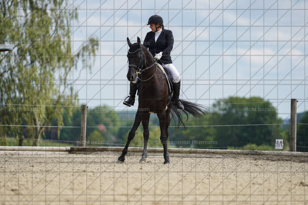 20230826-FAH05767 | Forstinning, 2023, Dressurturnier, Turniersportbilder, Turnierfotografen Bayern, Fotoagentur Herrmann, Reitsportfotografie, Turnierbilder