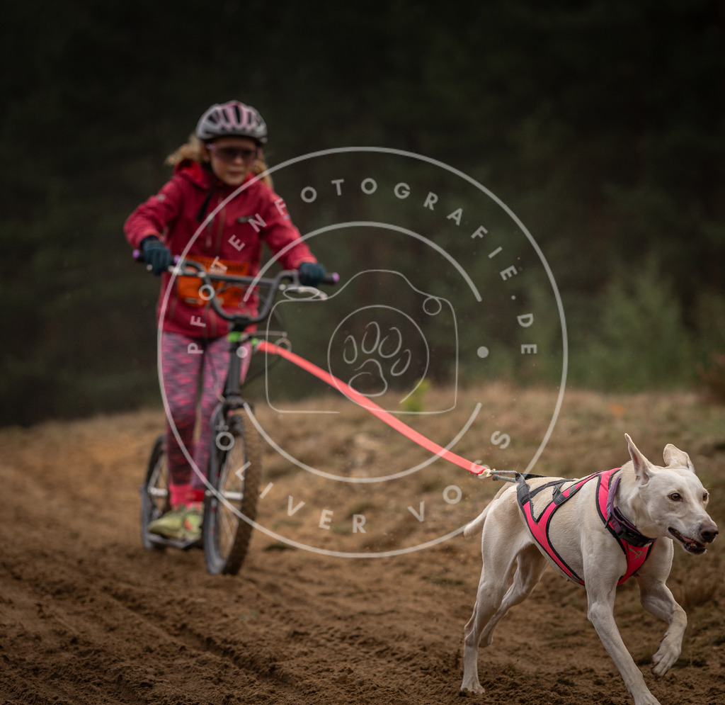 Pfotenfotografie_DV3A5024 | Hundefotografie, Tierfotograf, Pfotenfotografie, Fotoshooting Hund, Hunde Portrait, Hundesport, Hundeportraits, Heideshooting, Hunde, Sportfotograf, Hundefotograf, Turnierhundsport, THS,  - Realisiert mit Pictrs.com