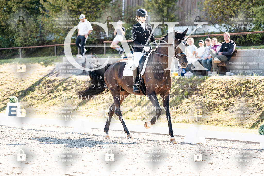 CK909000 | Turnierfotografie Pferdefotografie Trier Rheinland-Pfalz Pferdesport Reitsport Tierfotografie Sportfotografie Pferdevideo Pferdevideografie Equestrianvideography equestrianphotography  - Realisiert mit Pictrs.com