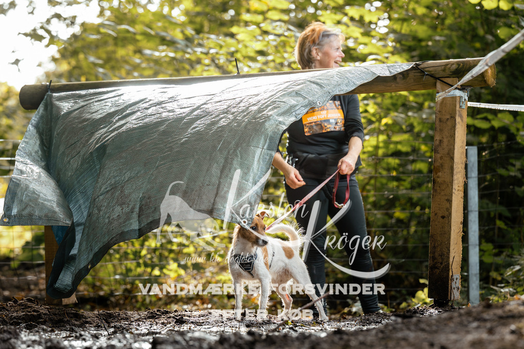 1452DZ6_3615Z6 | kk-dogfotos