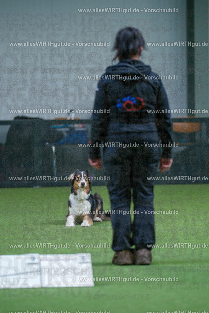 7R501980 | Professionelle Tierfotografie in Mönchengladbach von Daniel Wirth (allesWIRTHgut). Liebevolle & natürliche Bilder von Hunden & Katzen für unvergessliche Erinnerungen.