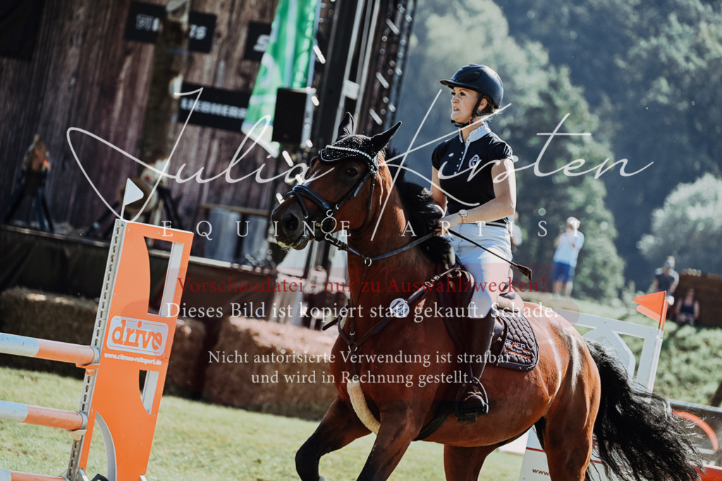 DSC_5811 | Pferde- und Turnierfotografie in Westsachsen. Pferdeportraits, Auftragszeichnungen und intuitive Kunst.