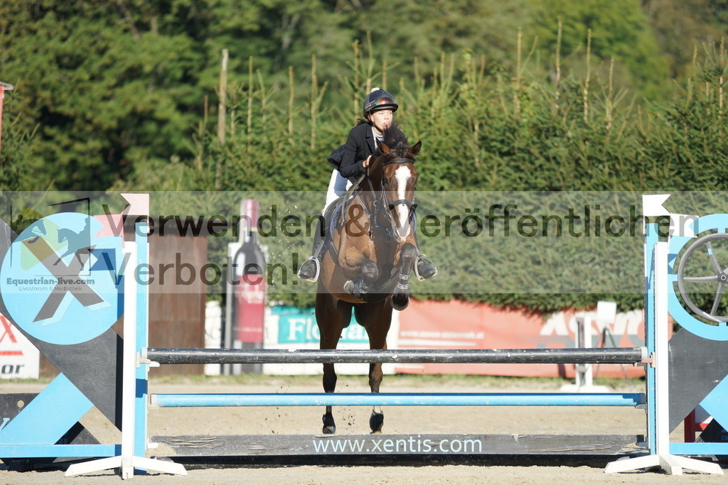 DSC09478 | equestrian-live-com