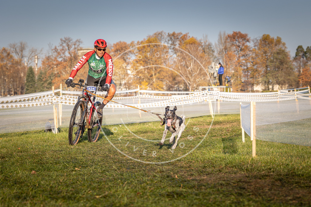 CaniXpix_0L8A4195 | Hundefotografie, Tierfotograf, Pfotenfotografie, Fotoshooting Hund, Hunde Portrait, Hundesport, Hundeportraits, Heideshooting, Hunde, Sportfotograf, Hundefotograf, Turnierhundsport, THS,  - Realisiert mit Pictrs.com