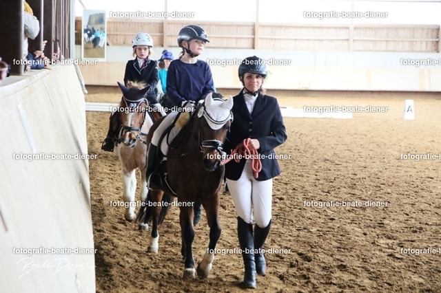 JugendTrophy1241 | Fotografie, Tiere, Hunde, Katzen, Pferde, Sportfotografie, Fotosession, Tierfotografie, Turnierfotografie, Fotografin, Fotograf - Realisiert mit Pictrs.com