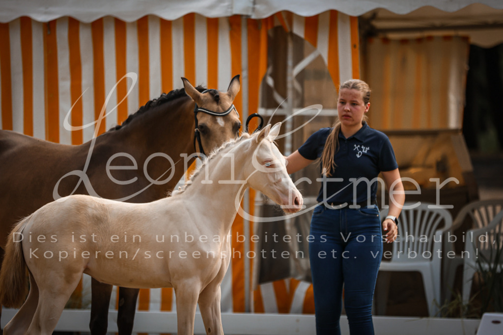 10.DoRP00033 | Leoni Ertmer Photography - Realisiert mit Pictrs.com