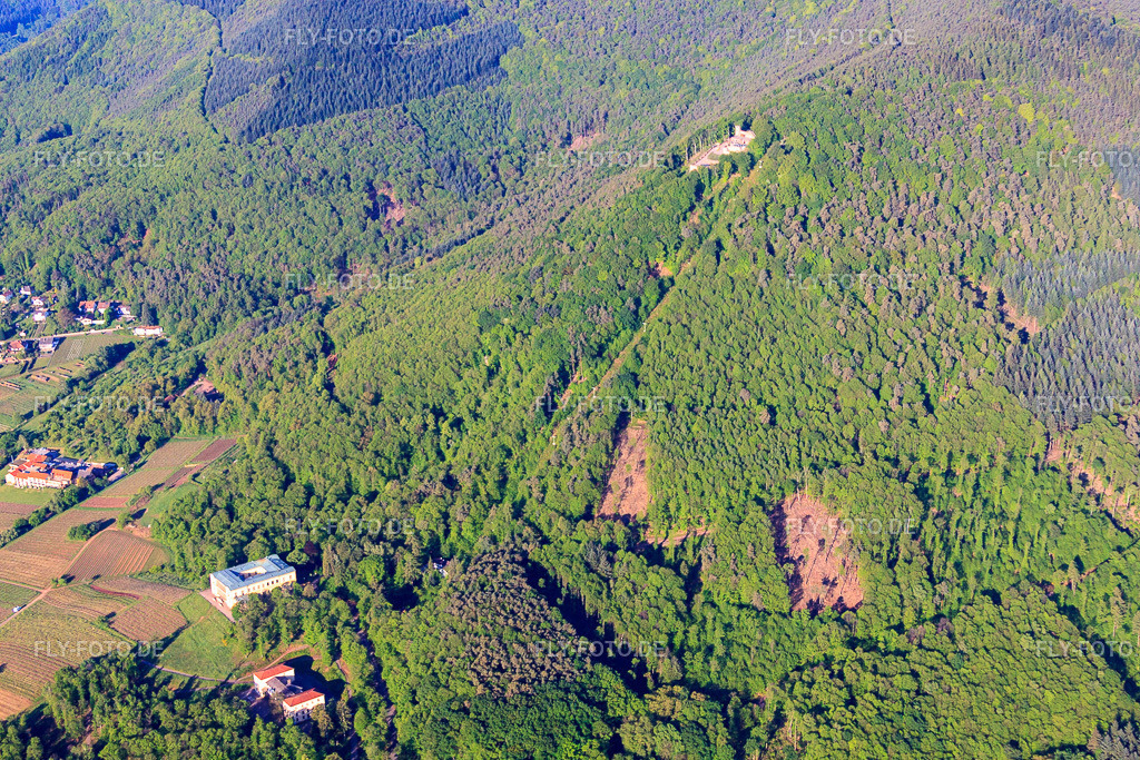Burgruine Rietburg und Rietburgbahn https://www.rietburgbahn-edenkoben.de/ | Luftbild: Burgruine Rietburg und Rietburgbahn https://www.rietburgbahn-edenkoben.de/ in Rhodt unter Rietburg im Bundesland Rheinland-Pfalz in Deutschland. Foto: IMG_64707.jpg vom 04.05.2014 durch Werner Riehm/FLY-FOTO.de - Realisiert mit Pictrs.com