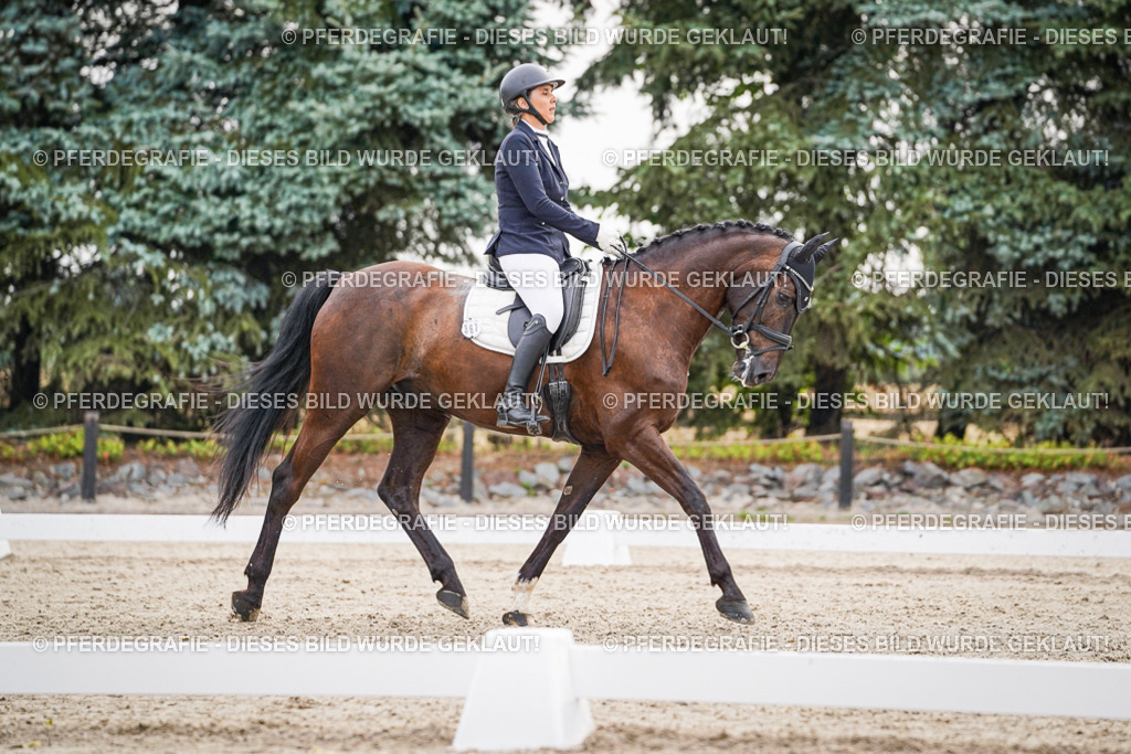 DSC00349 | Pferdegrafie