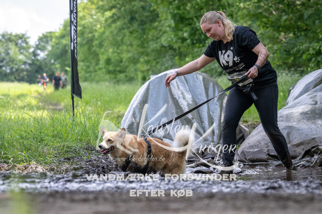 1240_ZZ93002 | kk-dogfotos