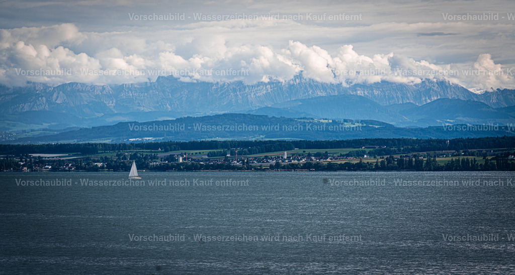 DSC00005 | marcuslinek