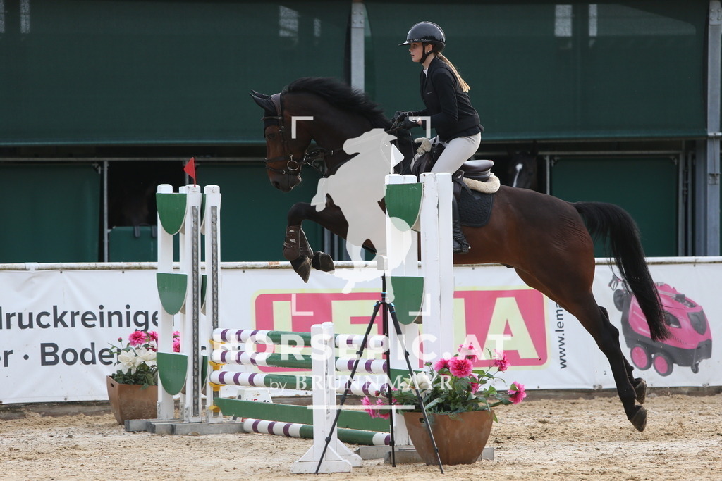 DL2Q0210 | Willkommen bei Brunnmayr - Design & Fotografie – Ihrem Spezialisten für Reitturniere und Pferdeveranstaltungen in Oberösterreich, Salzburg und Bayern! Seit über 17 Jahren sind wir leidenschaftlich dabei.