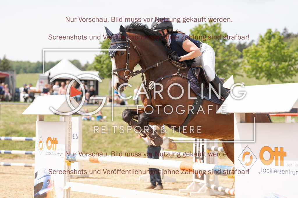 DSC06789 | Springturnier_Ehingen_Mai_2026, Miriam_Bohn, Karlshofs_Nele_FBW