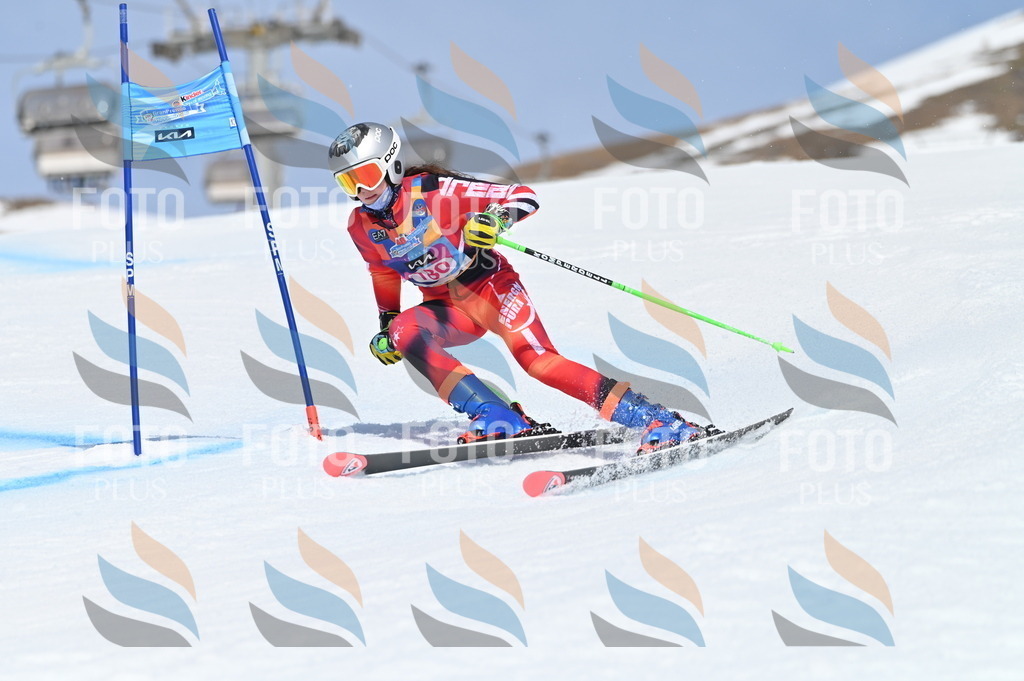 BGV_0619 | holidayphoto