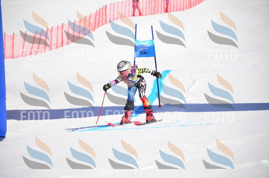 VR4_8528 | holidayphoto