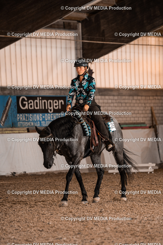 ZH100129 | dv-media-shop - Realisiert mit Pictrs.com