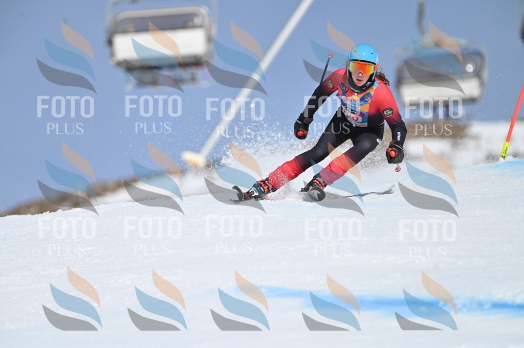 BGV_9801 | holidayphoto