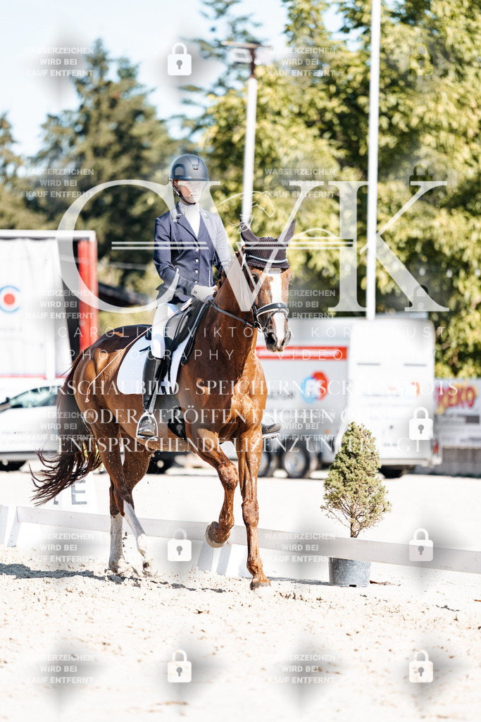 CK908481 | Turnierfotografie Pferdefotografie Trier Rheinland-Pfalz Pferdesport Reitsport Tierfotografie Sportfotografie Pferdevideo Pferdevideografie Equestrianvideography equestrianphotography  - Realisiert mit Pictrs.com