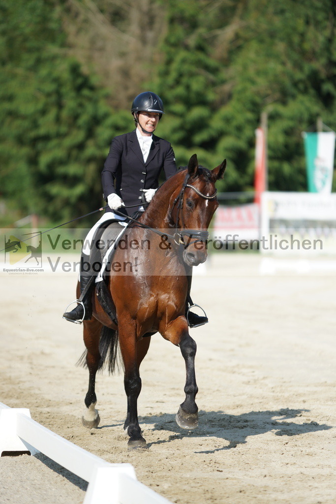 DSC01309 | equestrian-live-com