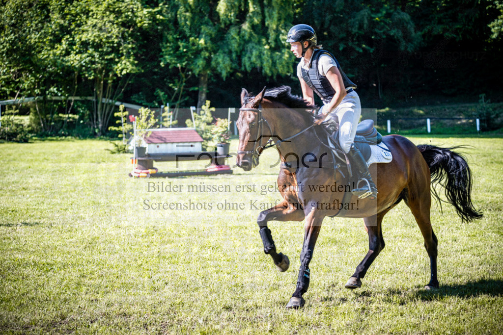 2026-05 - Melle Oldendorf-3-0008 | Entdecke hochwertige Reitturnierfotos von Foto Oger. Professionell, emotional und authentisch – jetzt Lieblingsmomente im Shop bestellen.Deutschlandweite Turnierfotografie. - Realisiert mit Pictrs.com
