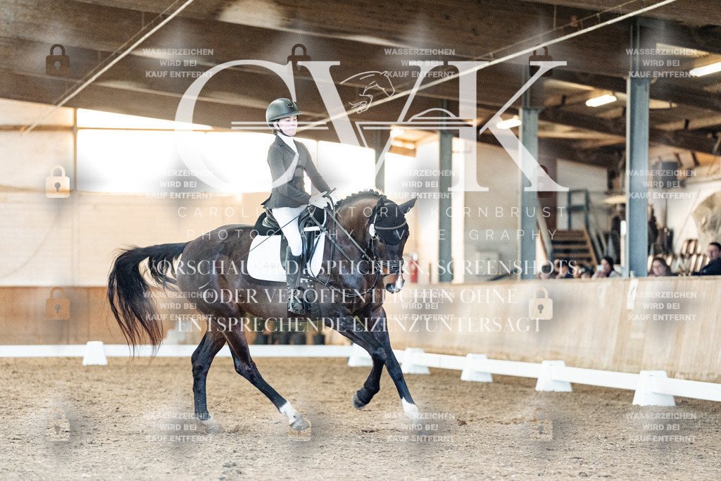 CK907191 | Turnierfotografie Pferdefotografie Trier Rheinland-Pfalz Pferdesport Reitsport Tierfotografie Sportfotografie Pferdevideo Pferdevideografie Equestrianvideography equestrianphotography  - Realisiert mit Pictrs.com