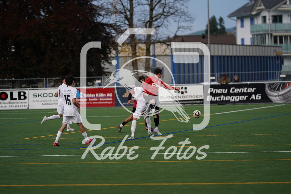 DSC00534 | rabefotos