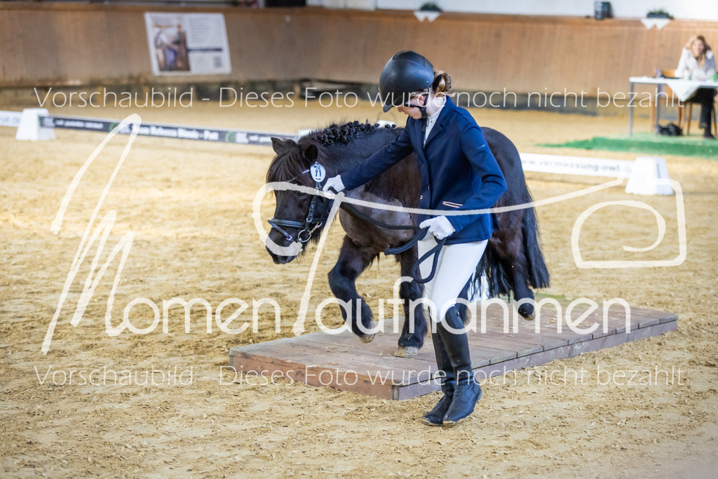 Sth-WBO25-Führ-WB-068 | MomenTaufnahmen Pferdesportfotos