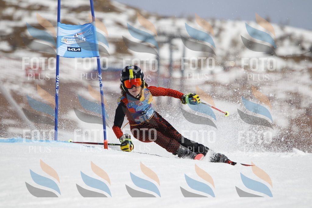 _U3G1525 | holidayphoto