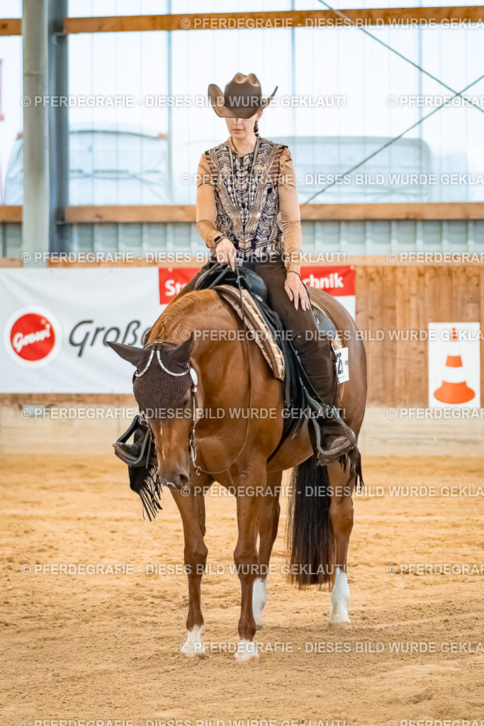 DSC00158 | Pferdegrafie