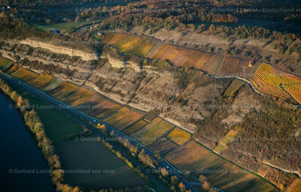 4042967 | Weinberge am Benediktusberg bei Zellingen
