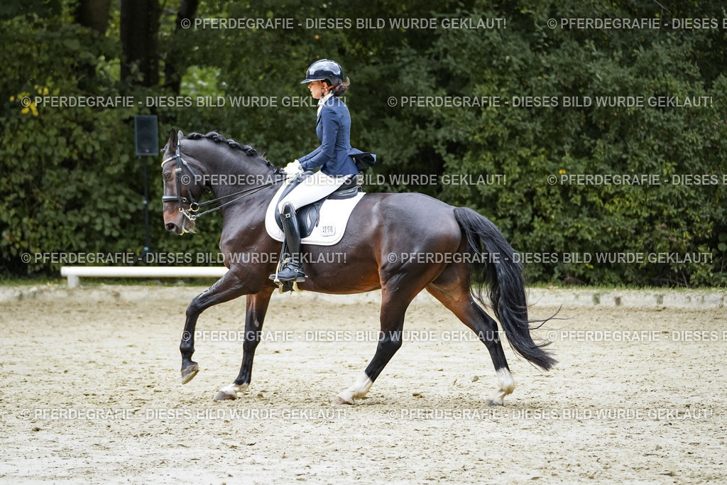 DSC00720 | Pferdegrafie