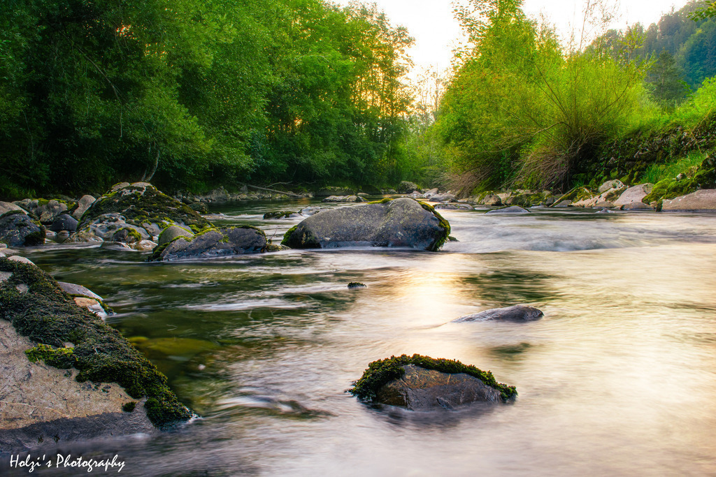 2024-08-20 08-04-30 (B_R8_S4)-Bearbeitet | Holzisphotography, Landschaftsfotografie, Wildlifefotogorafie - Realisiert mit Pictrs.com