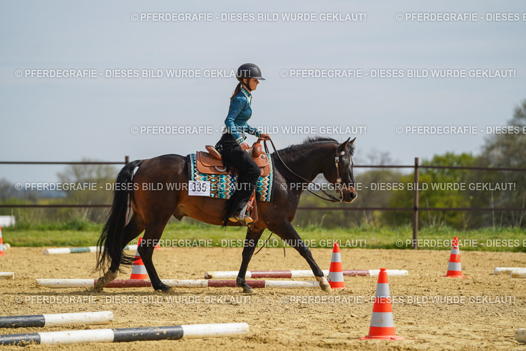 DSC04308 | Pferdegrafie