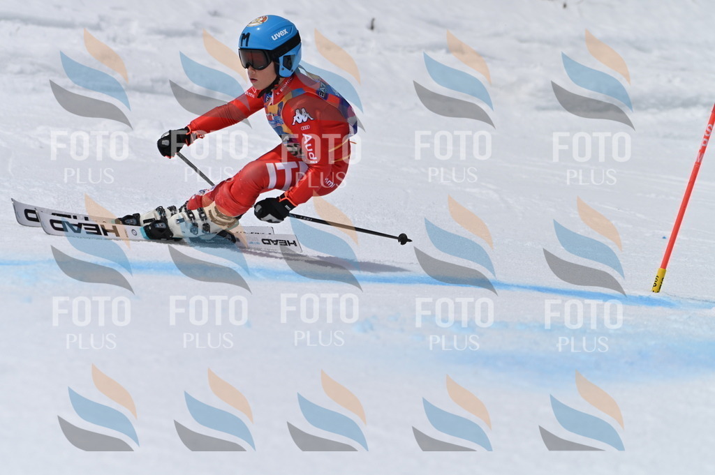 BGV_5839 | holidayphoto