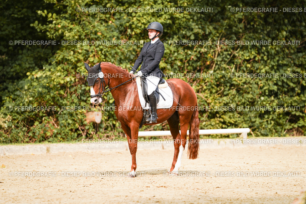 DSC03652 | Pferdegrafie