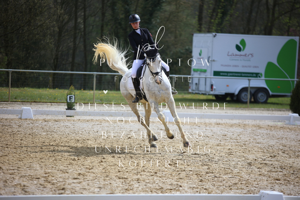 IMGT4836 | pl-fotografie