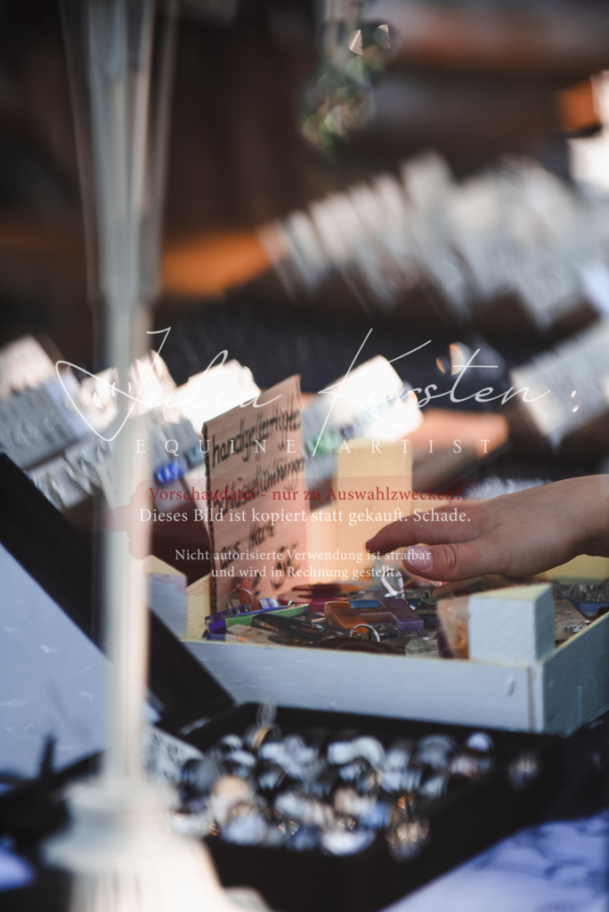 DSC_2662 | Pferde- und Turnierfotografie in Westsachsen. Pferdeportraits, Auftragszeichnungen und intuitive Kunst.