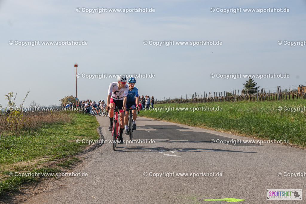 007A8644 | Neusiedlersee Radmarathon #neusiedlerseeradmarathon #neusiedlersee #nrm26 #yourpictrs #sportshot_your_pictrs