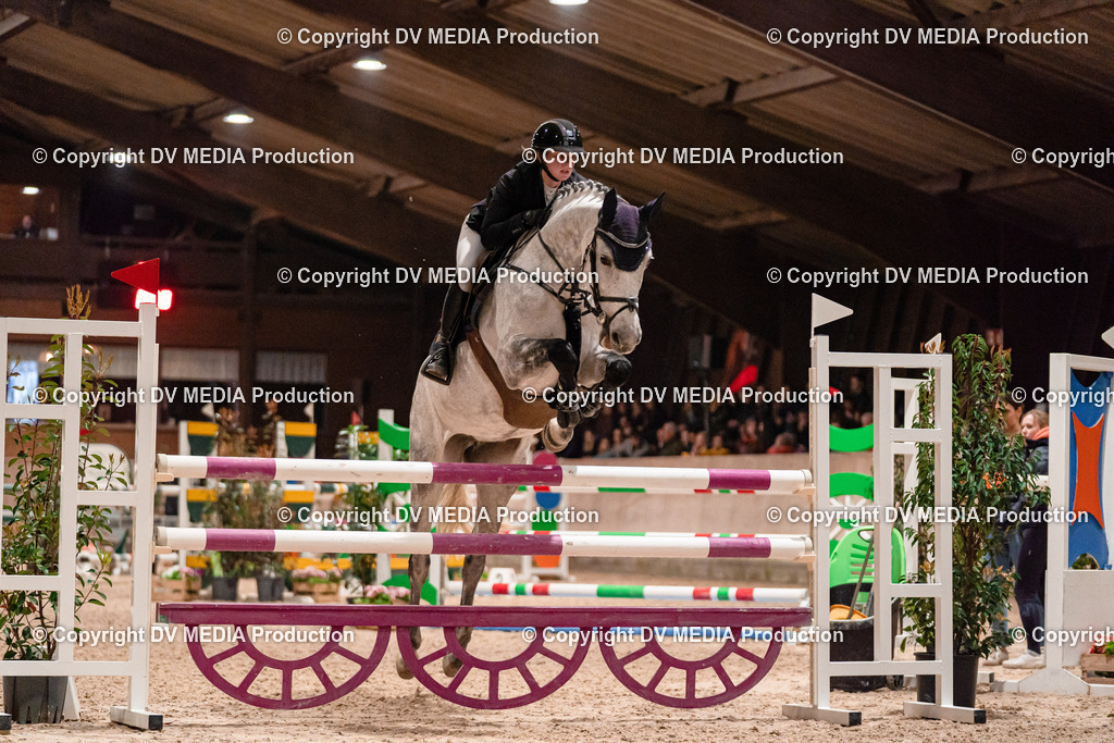 Springen Tag 2-828 | dv-media-shop - Realisiert mit Pictrs.com