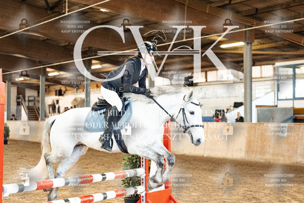 CK904054 | Turnierfotografie Pferdefotografie Trier Rheinland-Pfalz Pferdesport Reitsport Tierfotografie Sportfotografie Pferdevideo Pferdevideografie Equestrianvideography equestrianphotography  - Realisiert mit Pictrs.com