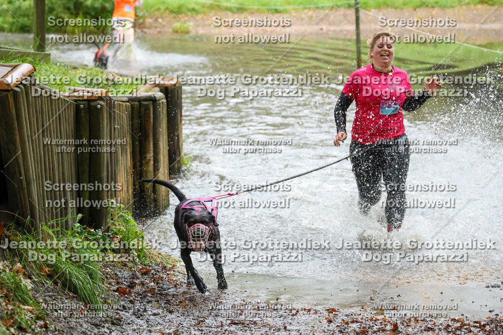 Dog Paparazzi -  SD1026-8229 | Dog Paparazzi Jeanette Grottendiek Fotografie & Videografie - Realisiert mit Pictrs.com