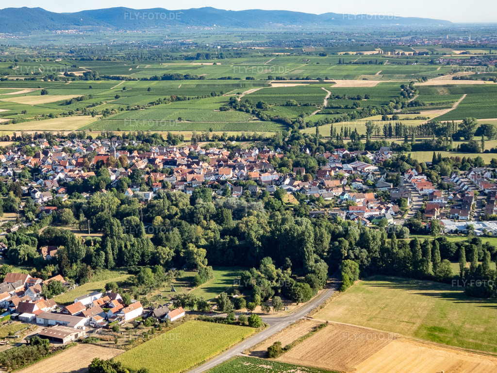 Luftbild: Ortsansicht im Ortsteil Billigheim in Billigheim-Ingenheim im Bundesland Rheinland-Pfalz in Deutschland. Foto: P8080037.jpg vom 08.08.2022 durch Werner Riehm/FLY-FOTO.de