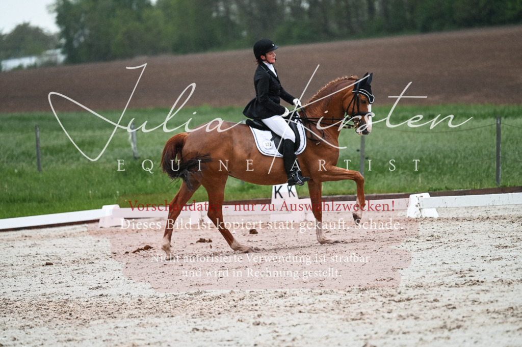 DSC_4477 | Pferde- und Turnierfotografie in Westsachsen. Pferdeportraits, Auftragszeichnungen und intuitive Kunst.