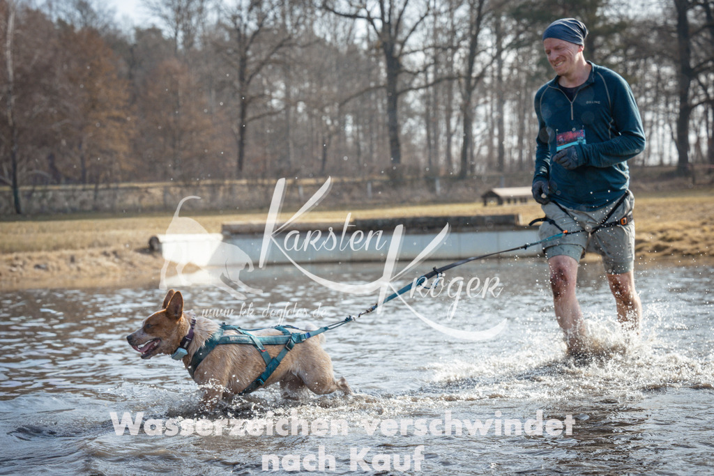 1102_ZZ91651 | kk-dogfotos