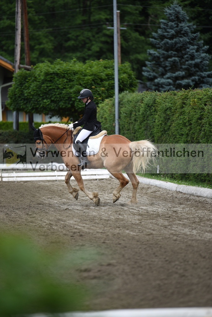 DSC_3820 | equestrian-live-com