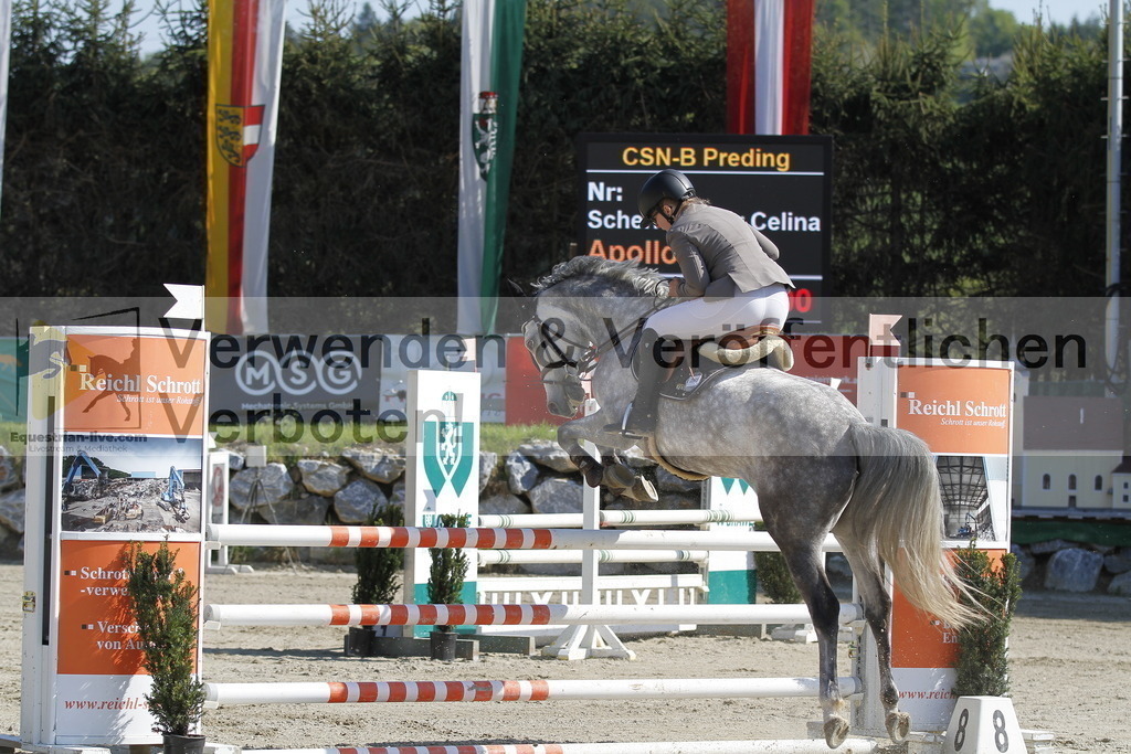 _MG_6698 | equestrian-live-com